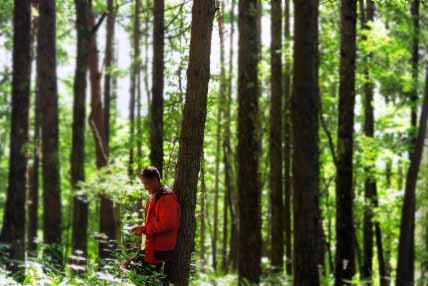 ���̋���