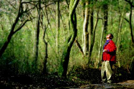 ���̃��Y��