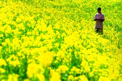 ���F���E�F�[�u