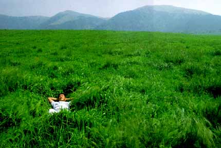 ���z�̓���