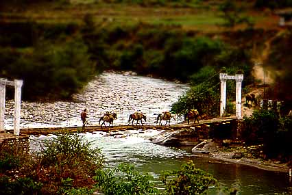 Please wait for a moment.