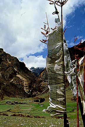 Please wait for a moment.