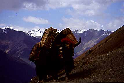 Please wait for a moment.