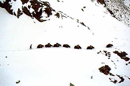 Please wait for a moment.