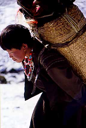 Please wait for a moment.