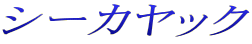 �V�[�J���b�N
