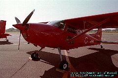 Cessna C180 Skywagon JA3889