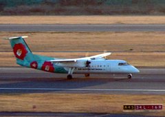 Landing - Air Nippon Network Dash8! TSUBAKI - 