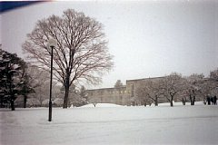 Snowscape in ICU 01 -Overview- / Jan 27 2001 at ICU campus Mitaka Tokyo Japan