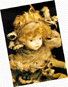 card 4