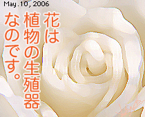 ЂƂƁB060510