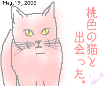 ЂƂƁB060519