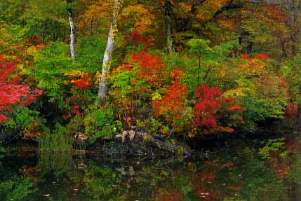 ���̍���