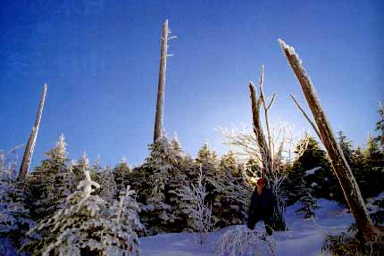 ���N�̎���