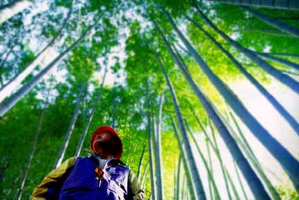 �V�l�̓f��