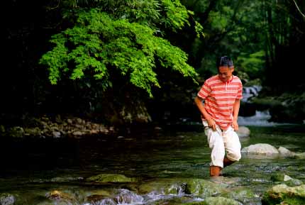 ����̂Ԃ₫