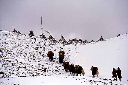 Please wait for a moment.