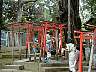 p1010037.jpg