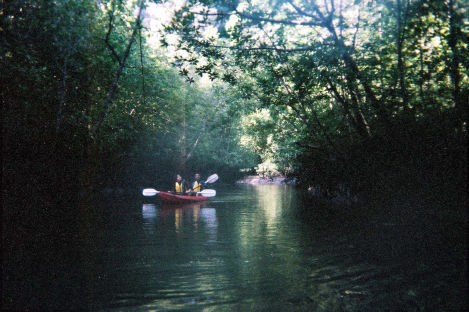 カヌージャングル