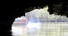 �������A