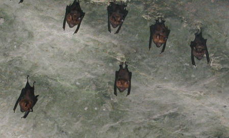 �R�E����