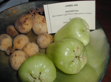 �W�����u�G�A�[