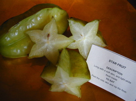 �X�^�[�t���[�c