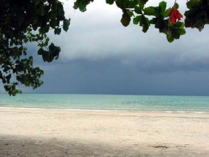 �������̊C