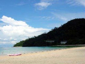 �������D