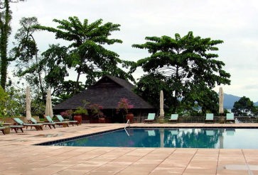 �_�^�C�v�[��