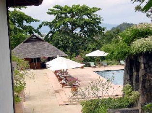 �_�^�C�v�[���ォ��